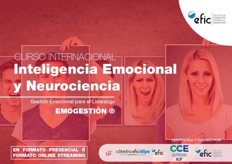 Producto Inteligencia Emocional Organiza E Imparte EFIC Emerge