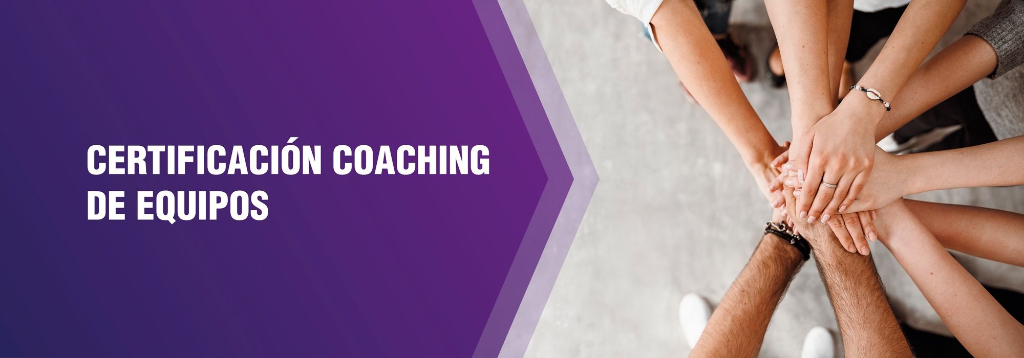 Certificación Top Intensive Training Coaching de Equipos
